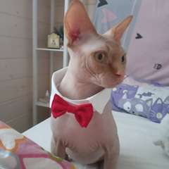 Фото отзыва 10911657