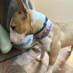 Фото отзыва 10893961