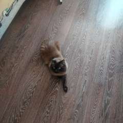 Фото отзыва 10618635