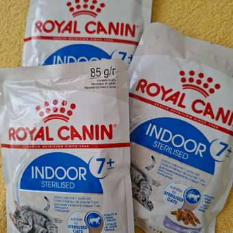 Корм для кошек ROYAL CANIN Indoor 85г для пожилых стерилизованных кошек 7+ желе пауч: отзыв пользователя. Зоомагазин Зоозавр