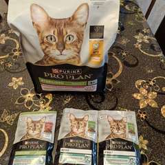 Фото отзыва 10824548