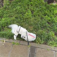 Фото отзыва 10024615