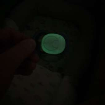 Пустышка Philips Avent силикон ортодонтическая от 6 мес. 1 шт.: отзыв пользователя Детский Мир