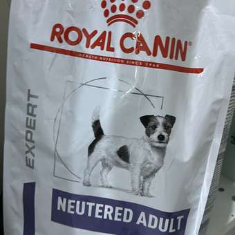 Корм для собак ROYAL CANIN Ньютрид Эдалт Смол Догз 3.5кг: отзыв пользователя. Зоомагазин Зоозавр