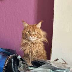 Фото отзыва 10901145