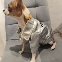 Фото отзыва 10703555