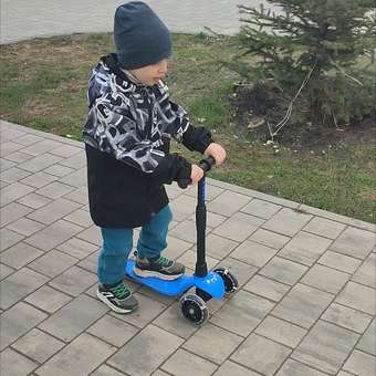 Самокат ZEBRA трехколесный: отзыв пользователя Детский Мир