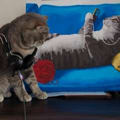 Фото отзыва 9187484