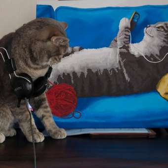 Картина по номерам Art on Canvas Будни кота в ассортименте: отзыв пользователя Детский Мир