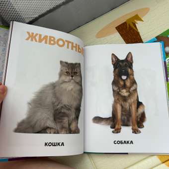 Развивающая Проф-Пресс Главная книга малыша от 0 до 3 лет: отзыв пользователя Детский Мир