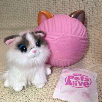 Мягкая игрушка Zuru Pets Alive Smitten Kittens в ассортименте: отзыв пользователя Детский Мир