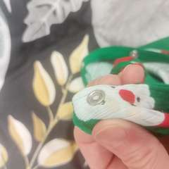 Фото отзыва 11054003