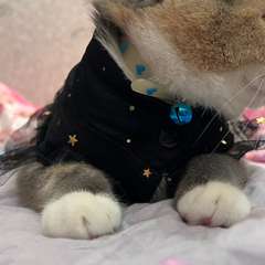 Фото отзыва 10721726