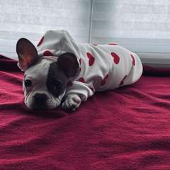 Фото отзыва 11075031