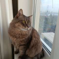 Фото отзыва 10747557