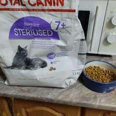 Фото отзыва 10920404