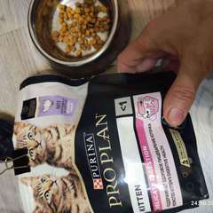 Фото отзыва 10537344