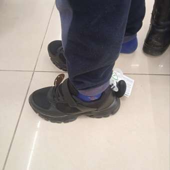 Кроссовки Jomoto: отзыв пользователя Детский Мир