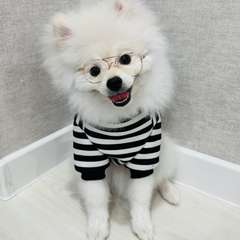 Фото отзыва 10617638