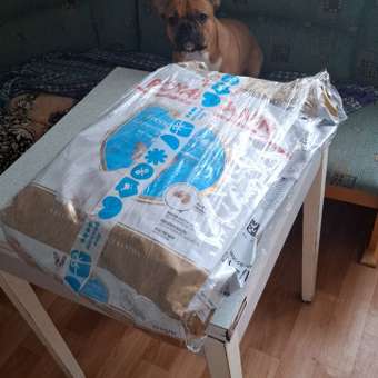 Корм для щенков ROYAL CANIN породы французский бульдог 10кг: отзыв пользователя. Зоомагазин Зоозавр