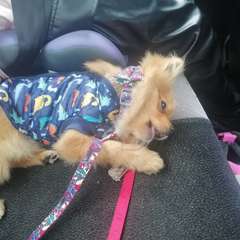 Фото отзыва 9071663