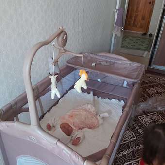 Манеж кровать Babyton Dreamy Brown коричневый: отзыв пользователя Детский Мир