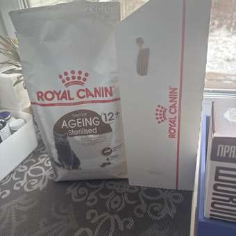 Корм для кошек ROYAL CANIN Ageing 85гр для пожилых 12+ желе пауч: отзыв пользователя. Зоомагазин Зоозавр