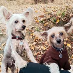 Фото отзыва 10440192