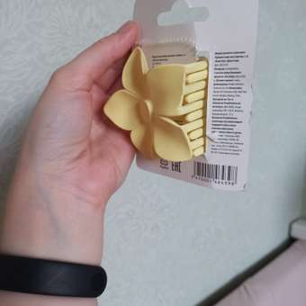 Заколка Demi Star Candy 1 шт.: отзыв пользователя Детский Мир