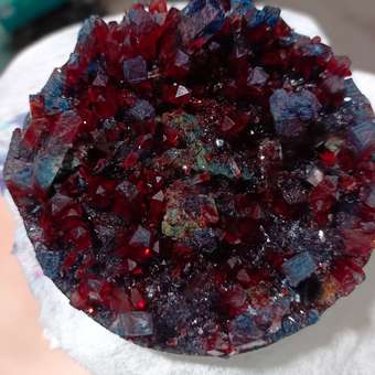 Набор для опытов Attivio Драгоценный кристалл большой: отзыв пользователя Детский Мир