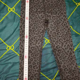 Термобельё Jomoto: отзыв пользователя ДетМир