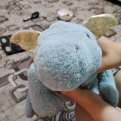 Фото отзыва 11225304