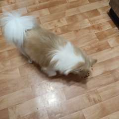 Фото отзыва 11183962