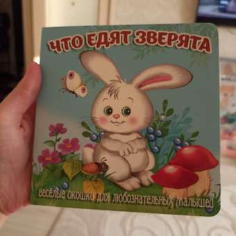 Книжка-картонка Мозайка с окошками: отзыв пользователя Детский Мир