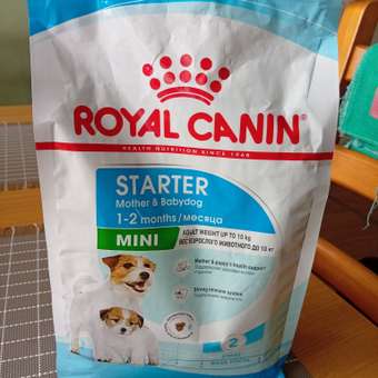 Корм для щенков ROYAL CANIN Starter мелких пород 1кг: отзыв пользователя. Зоомагазин Зоозавр