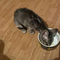 Фото отзыва 10733021