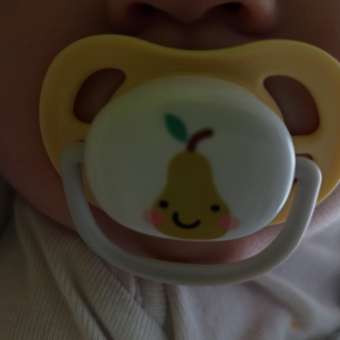 Пустышка Philips Avent от 0 мес. 2 шт.: отзыв пользователя ДетМир