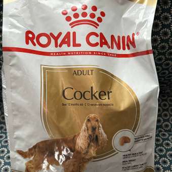 Корм для собак ROYAL CANIN Cocker породы кокер 3кг: отзыв пользователя. Зоомагазин Зоозавр