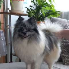 Фото отзыва 10524631