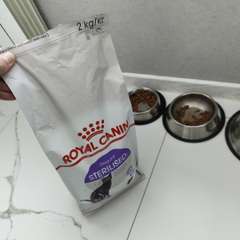 Фото отзыва 11205851