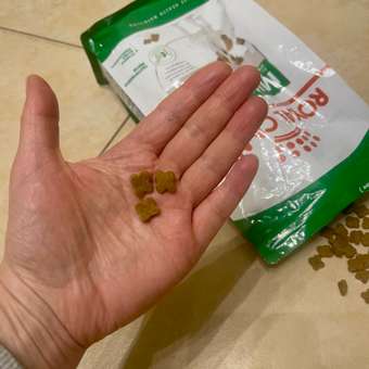 Корм для собак ROYAL CANIN мелких пород 800г: отзыв пользователя. Зоомагазин Зоозавр