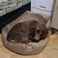 Фото отзыва 10741918