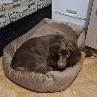 Лежанка Barbaks XL 75*60*19см прямоугольная однотонная с бортиком и съемной подушкой коричневая: отзыв пользователя. Зоомагазин Зоозавр