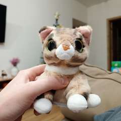 Фото отзыва 10943946