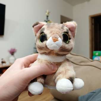 Мягкая игрушка Zuru Pets Alive Smitten Kittens: отзыв пользователя Детский Мир