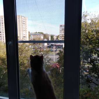 Корм для кошек GRANDORF FRESH Fresh Cat Adult Duck/Sweet Potato 400г свежее мясо утки с бататом беззерн с жив пробиотиками: отзыв пользователя. Зоомагазин Зоозавр