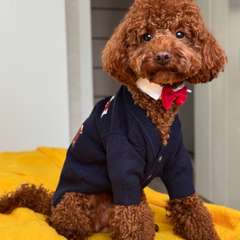 Фото отзыва 11093247