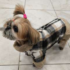 Фото отзыва 10644291