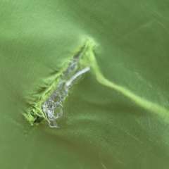 Фото отзыва 8945980