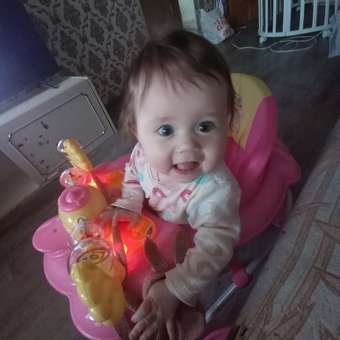 Ходунки Babyton Pink: отзыв пользователя Детский Мир